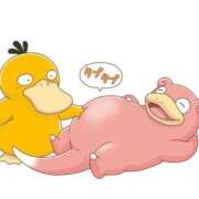 ヒメ日記 2026/03/03 11:48 投稿 のいる ワンダフル