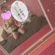 ヒメ日記 2026/03/05 12:54 投稿 のいる ワンダフル