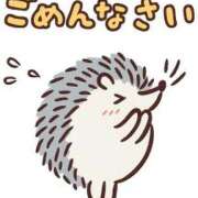 のいる ごめんなさい ワンダフル