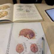 ヒメ日記 2026/04/10 09:37 投稿 七海 ムーランルージュ