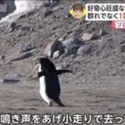 ヒメ日記 2025/07/27 17:37 投稿 めい clubさくら難波店