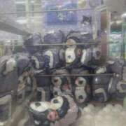 ヒメ日記 2025/10/15 19:41 投稿 ナナミ Club 妻