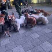 ヒメ日記 2026/02/12 12:47 投稿 ナナミ Club 妻