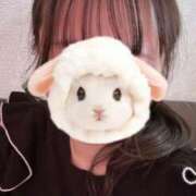 ヒメ日記 2025/11/21 12:31 投稿 なな ナイトヴィーナス