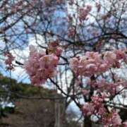 ヒメ日記 2026/03/09 12:23 投稿 あに 福盛