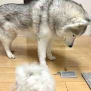 ヒメ日記 2025/08/30 07:42 投稿 もね sakura