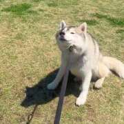 ヒメ日記 2025/09/16 10:12 投稿 もね sakura