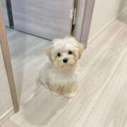 ヒメ日記 2025/11/18 06:22 投稿 もね sakura