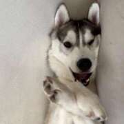 ヒメ日記 2025/11/26 20:32 投稿 もね sakura