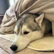 ヒメ日記 2025/11/28 08:42 投稿 もね sakura