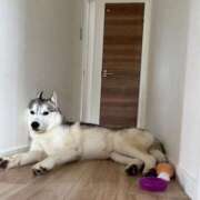 ヒメ日記 2025/11/30 18:32 投稿 もね sakura