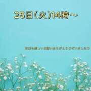 ヒメ日記 2025/11/18 23:33 投稿 れん レッドろまん枚方店