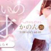 ヒメ日記 2026/02/12 00:36 投稿 特プレミアかのん【可愛いの天才】 LIPS(リップス)