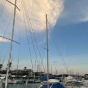 ヒメ日記 2025/08/20 06:30 投稿 まい 甘熟クラブ