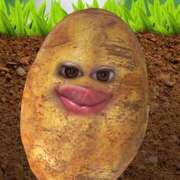 ヒメ日記 2025/10/20 07:20 投稿 まい 甘熟クラブ