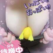 ヒメ日記 2025/11/13 20:20 投稿 まい 甘熟クラブ