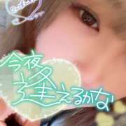 ヒメ日記 2026/01/25 20:07 投稿 まい 甘熟クラブ