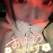 ヒメ日記 2026/01/31 06:30 投稿 まい 甘熟クラブ