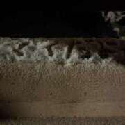 ヒメ日記 2026/02/08 22:23 投稿 まい 甘熟クラブ