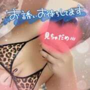 ヒメ日記 2026/02/12 00:00 投稿 まい 甘熟クラブ