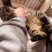 ヒメ日記 2026/02/19 06:30 投稿 まい 甘熟クラブ