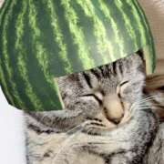 ヒメ日記 2026/02/21 06:30 投稿 まい 甘熟クラブ