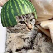 ヒメ日記 2026/02/23 06:30 投稿 まい 甘熟クラブ