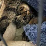 ヒメ日記 2026/02/26 06:30 投稿 まい 甘熟クラブ