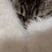 ヒメ日記 2026/03/14 00:25 投稿 まい 甘熟クラブ