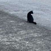 ヒメ日記 2026/03/22 02:51 投稿 まい 甘熟クラブ