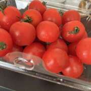 ヒメ日記 2026/04/09 06:30 投稿 まい 甘熟クラブ