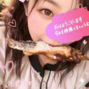 ヒメ日記 2026/05/04 10:24 投稿 まい 甘熟クラブ