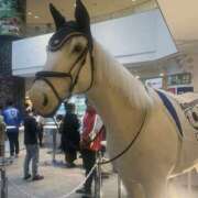 ヒメ日記 2026/01/30 20:31 投稿 茜(アカネ) クラブレア南大阪