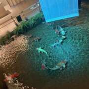 ヒメ日記 2026/02/03 21:50 投稿 茜(アカネ) クラブレア南大阪