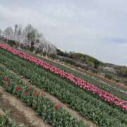 ヒメ日記 2026/04/09 16:10 投稿 茜(アカネ) クラブレア南大阪