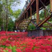 あずさ お久しぶりです🌹 ハンドメイドコレクション太田