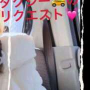 ヒメ日記 2026/01/25 11:24 投稿 せいら 熟女家 ミナミエリア店