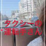 ヒメ日記 2026/02/14 11:15 投稿 せいら 熟女家 ミナミエリア店