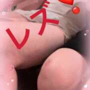 ヒメ日記 2026/04/02 10:34 投稿 せいら 熟女家 ミナミエリア店