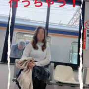 ヒメ日記 2026/04/04 11:35 投稿 せいら 熟女家 ミナミエリア店