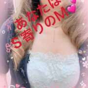 ヒメ日記 2026/06/27 12:05 投稿 せいら 熟女家 ミナミエリア店