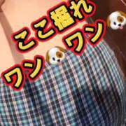 ヒメ日記 2026/09/13 22:05 投稿 せいら 熟女家 ミナミエリア店