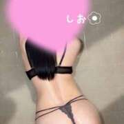 ヒメ日記 2026/07/29 16:56 投稿 しお 新橋夜這右衛門娼店～夜這・即尺・痴漢・人妻～