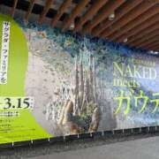 流川 鬼才🪨⚒️ 鶯谷人妻城