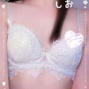 ヒメ日記 2026/04/06 13:19 投稿 しお 錦糸町 夜這右衛門娼店～夜這・即尺・痴漢・人妻～