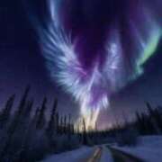 さくや こんばんは 熟女の風俗最終章 新宿店