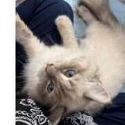 ヒメ日記 2025/08/15 21:42 投稿 さくや 熟女の風俗最終章 池袋店