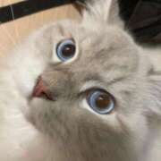 ヒメ日記 2025/09/29 23:02 投稿 さくや 熟女の風俗最終章 池袋店