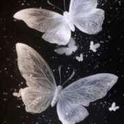 ヒメ日記 2025/11/17 23:20 投稿 さくや 熟女の風俗最終章 池袋店