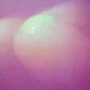 かおる 今日は夕方から〜💕 おいらん遊郭